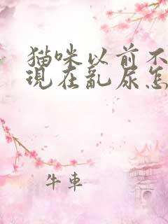 猫咪以前不乱尿现在乱尿怎么回事