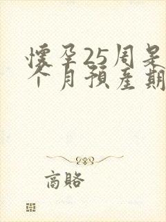 怀孕25周是几个月预产期几月生