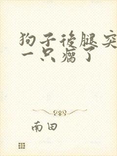 狗子后腿突然有一只瘸了