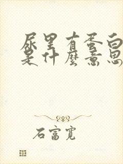 尿里有蛋白1+是什么意思