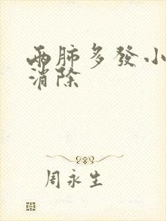 两肺多发小结节消除