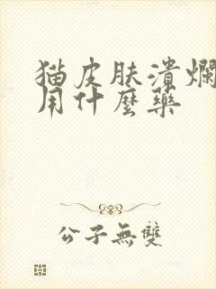 猫皮肤溃烂化脓用什么药