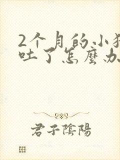 2个月的小猫咪吐了怎么办