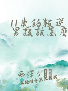 11岁的叛逆期男孩该怎么教育