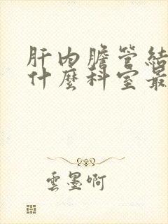 肝内胆管结石看什么科室最好