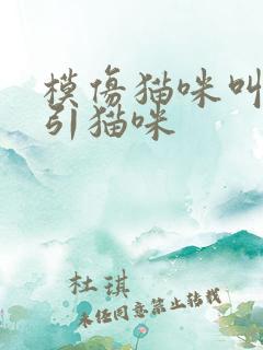 模仿猫咪叫声吸引猫咪