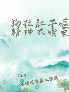 狗拉肚子呕吐没精神不吃东西咋办