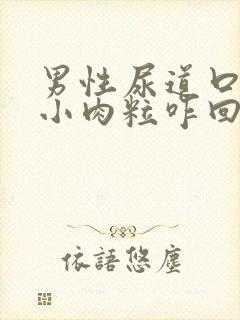 男性尿道口上张小肉粒咋回事