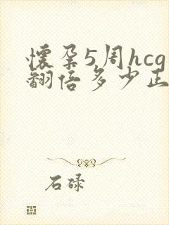 怀孕5周hcg翻倍多少正常