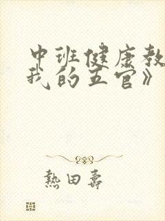 中班健康教案《我的五官》