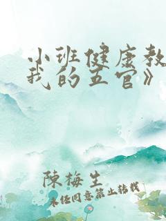 小班健康教案《我的五官》