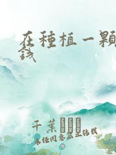 在种植一颗牙多钱
