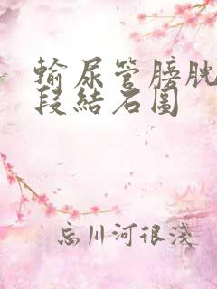 输尿管膀胱壁内段结石图