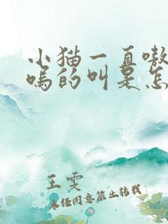 小猫一直嗷呜嗷呜的叫是怎么回事