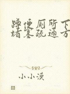 蹲便厕所下水道堵塞疏通方法