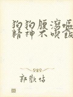 狗狗腹泻呕吐没精神不吃饭怎么办