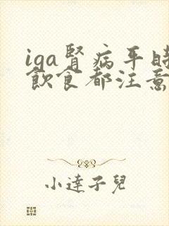 iga肾病平时饮食都注意哪些