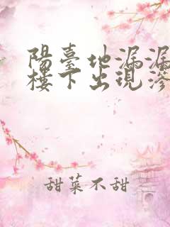 阳台地漏漏水到楼下出现渗水