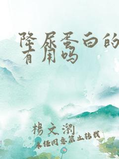 降尿蛋白的中药有用吗