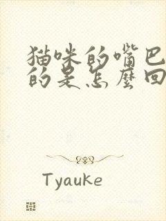 猫咪的嘴巴臭臭的是怎么回事