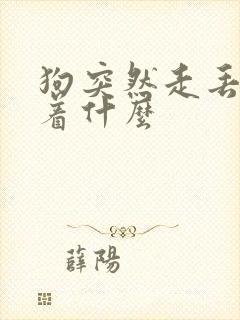 狗突然走丢预示着什么