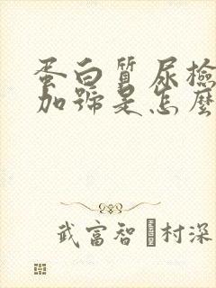 蛋白质尿检1个加号是怎么回事