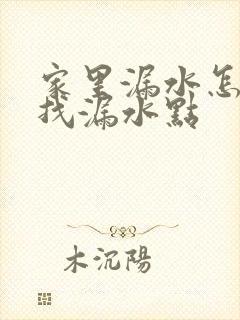 家里漏水怎么查找漏水点