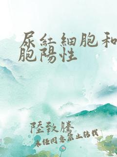 尿红细胞和白细胞阳性