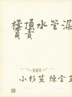 楼顶水管漏水谁负责