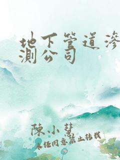 地下管道渗漏检测公司