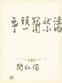 龟头冠状沟处长了一圈小肉粒