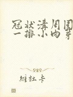 冠状沟周围长些一排小肉芽