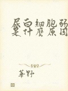 尿白细胞弱阳性是什么原因