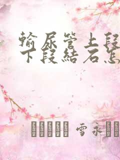 输尿管上段结石下段结石怎么治