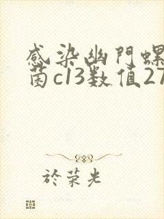 感染幽门螺旋杆菌c13数值27