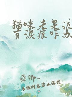 猫咪老是流眼泪有泪痕咋办