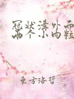 冠状沟外面长了两个小肉粒