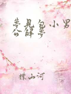 梦见包小男孩周公解梦