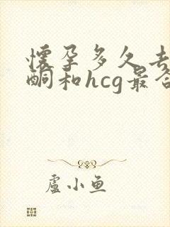 怀孕多久去查孕酮和hcg最合适