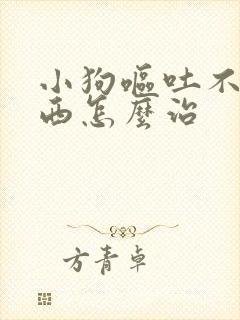 小狗呕吐不吃东西怎么治