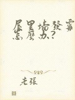 屋里墙发霉了,怎么办?