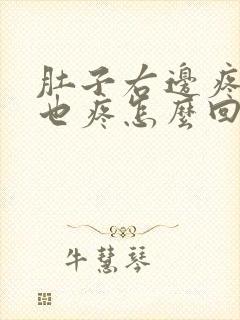 肚子右边疼后背也疼怎么回事