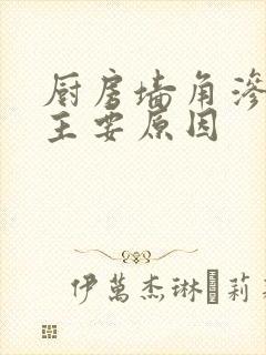 厨房墙角渗水的主要原因