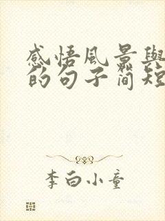 感悟风景与人生的句子简短