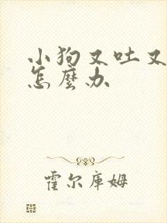 小狗又吐又拉血怎么办