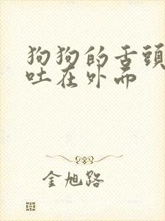 狗狗的舌头总是吐在外面