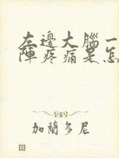 左边大脑一阵一阵疼痛是怎么回事