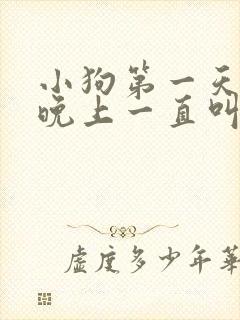 小狗第一天到家晚上一直叫怎么办