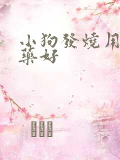 小狗发烧用什么药好