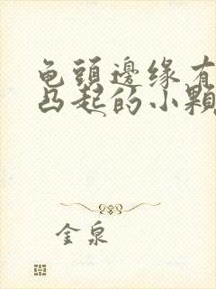 龟头边缘有一圈凸起的小颗粒